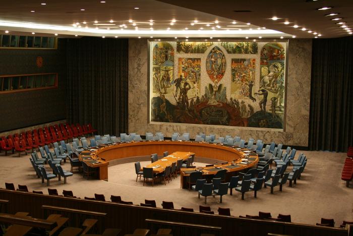UN Security Council (Jay Reed)